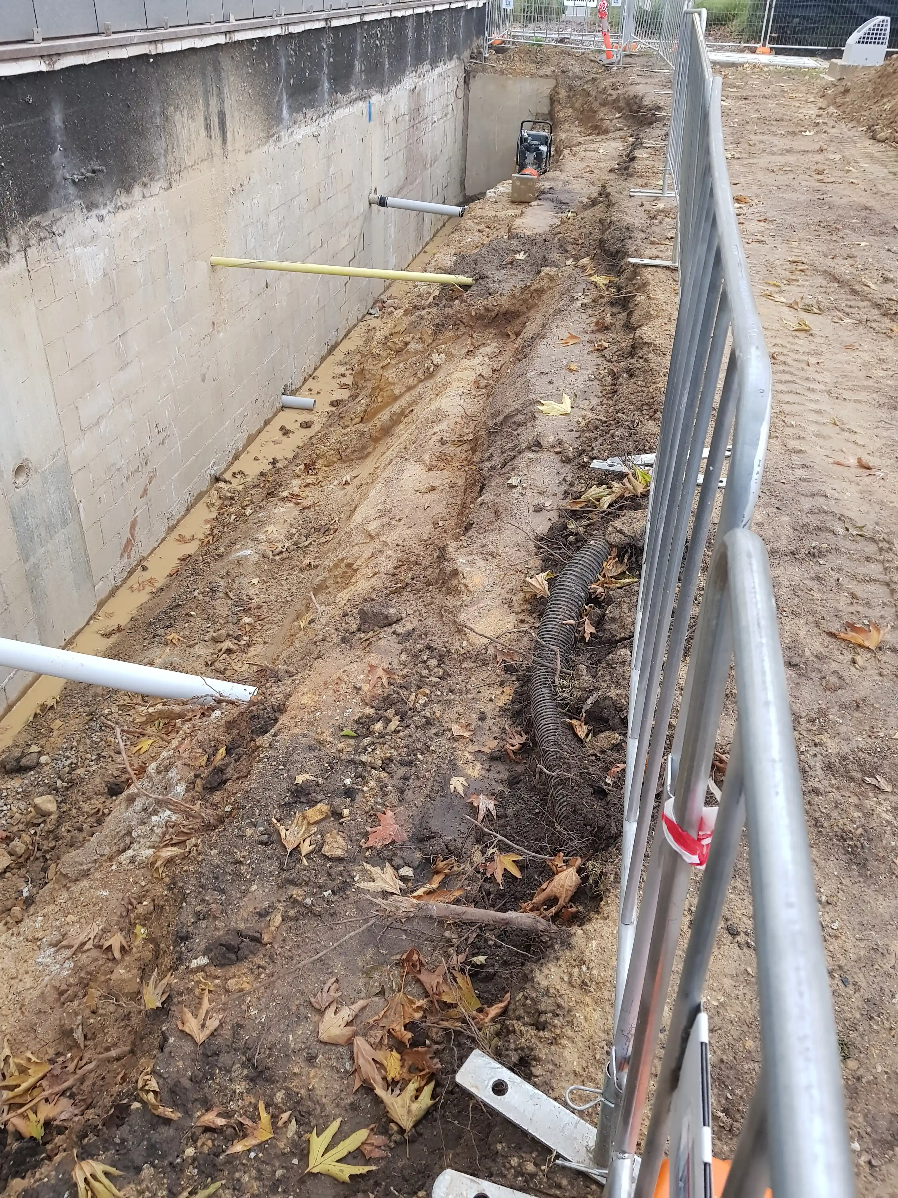 Questacon Subsidence Rectification - Photo 3